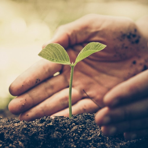 charitable-sustainable-projects - ASL